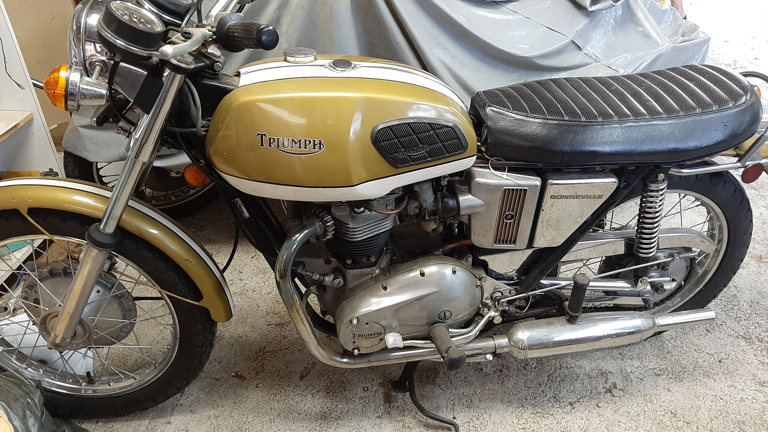 Triumph T120